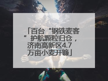 百台“钢铁麦客”护航颗粒归仓，济南高新区4.7万亩小麦开镰