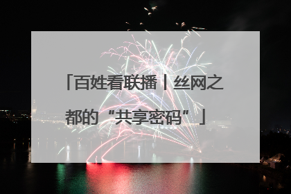 百姓看联播丨丝网之都的“共享密码”