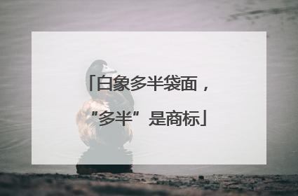 白象多半袋面，“多半”是商标