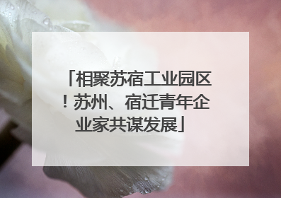 相聚苏宿工业园区！苏州、宿迁青年企业家共谋发展