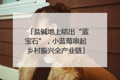 盐碱地上结出“蓝宝石”，小蓝莓串起乡村振兴全产业链