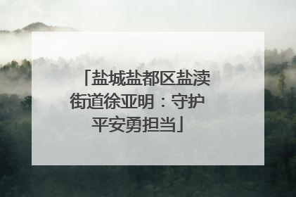 盐城盐都区盐渎街道徐亚明：守护平安勇担当
