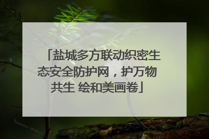 盐城多方联动织密生态安全防护网，护万物共生 绘和美画卷