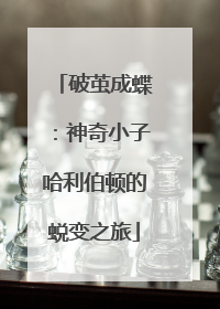 破茧成蝶：神奇小子哈利伯顿的蜕变之旅