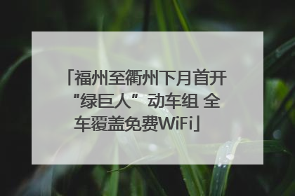 福州至衢州下月首开“绿巨人”动车组 全车覆盖免费WiFi