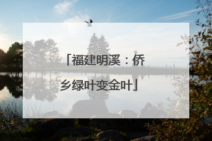 福建明溪：侨乡绿叶变金叶