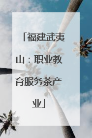 福建武夷山：职业教育服务茶产业