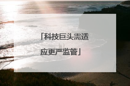 科技巨头需适应更严监管