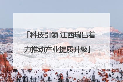 科技引领 江西瑞昌着力推动产业提质升级