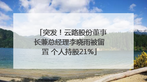 突发！云路股份董事长兼总经理李晓雨被留置 个人持股21%