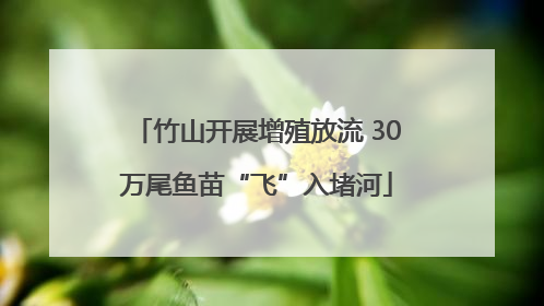 竹山开展增殖放流 30万尾鱼苗“飞”入堵河