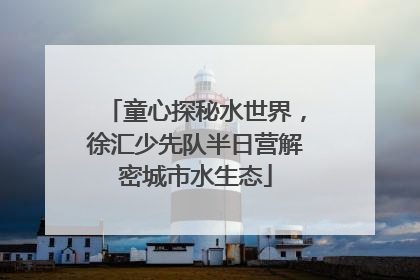 童心探秘水世界，徐汇少先队半日营解密城市水生态