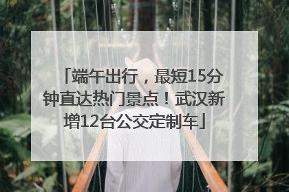端午出行，最短15分钟直达热门景点！武汉新增12台公交定制车