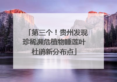 第三个！贵州发现珍稀濒危植物睡莲叶杜鹃新分布点
