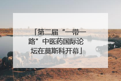 第二届“一带一路”中医药国际论坛在莫斯科开幕