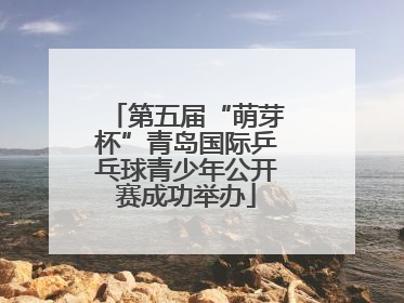 第五届“萌芽杯”青岛国际乒乓球青少年公开赛成功举办