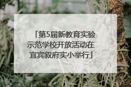 第5届新教育实验示范学校开放活动在宜宾叙府实小举行