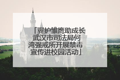 翼护雏鹰助成长 武汉市司法局何湾强戒所开展禁毒宣传进校园活动