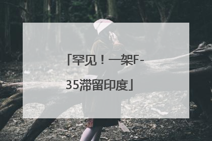罕见！一架F-35滞留印度