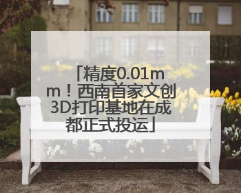 精度0.01mm！西南首家文创3D打印基地在成都正式投运