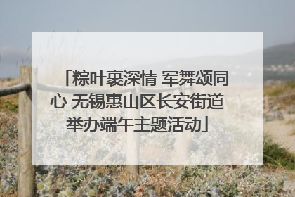 粽叶裹深情 军舞颂同心 无锡惠山区长安街道举办端午主题活动