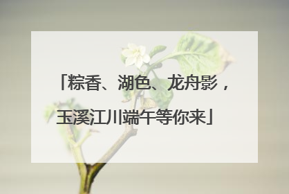 粽香、湖色、龙舟影，玉溪江川端午等你来