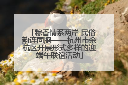 粽香情系两岸 民俗韵连同胞——杭州市余杭区开展形式多样的迎端午联谊活动