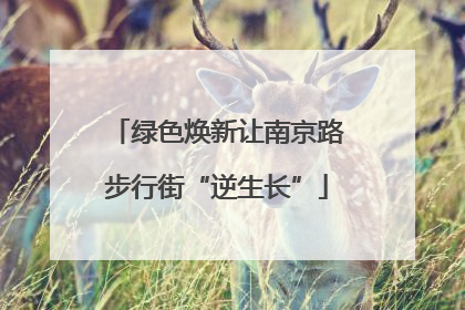 绿色焕新让南京路步行街“逆生长”