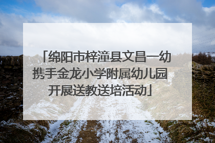 绵阳市梓潼县文昌一幼携手金龙小学附属幼儿园开展送教送培活动