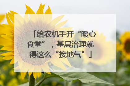 给农机手开“暖心食堂”，基层治理就得这么“接地气”