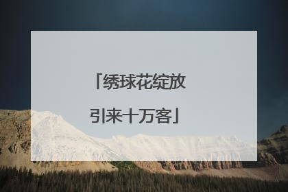 绣球花绽放 引来十万客