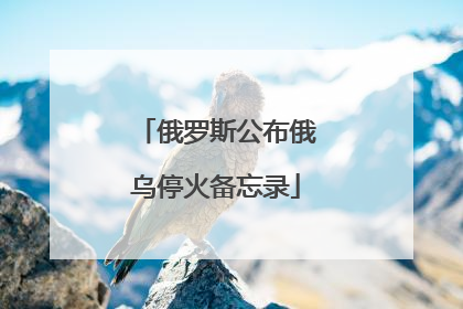俄罗斯公布俄乌停火备忘录