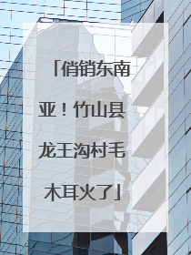 俏销东南亚！竹山县龙王沟村毛木耳火了
