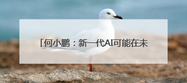 何小鹏：新一代AI可能在未来3到4年间催生超级业务