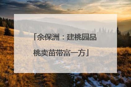 余保洲：建桃园品桃卖苗带富一方