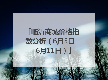 临沂商城价格指数分析（6月5日—6月11日）
