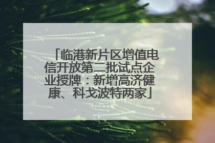 临港新片区增值电信开放第二批试点企业授牌：新增高济健康、科戈波特两家
