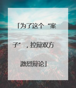 为了这个“案子”，控辩双方激烈辩论