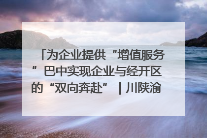 为企业提供“增值服务”巴中实现企业与经开区的“双向奔赴”｜川陕渝网络名人巴中行