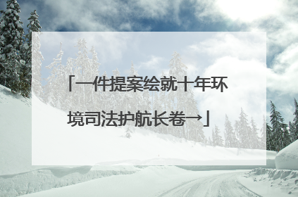 一件提案绘就十年环境司法护航长卷→
