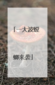 一大波螳螂来袭