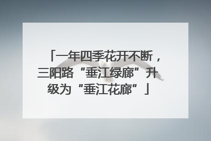 一年四季花开不断，三阳路“垂江绿廊”升级为“垂江花廊”