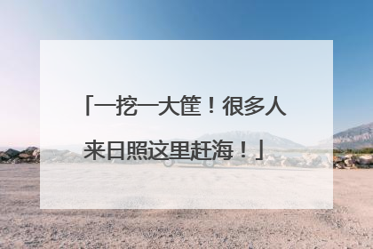 一挖一大筐！很多人来日照这里赶海！