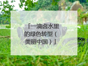 一滴卤水里的绿色转型（美丽中国）