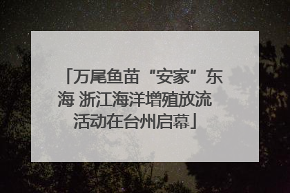 万尾鱼苗“安家”东海 浙江海洋增殖放流活动在台州启幕
