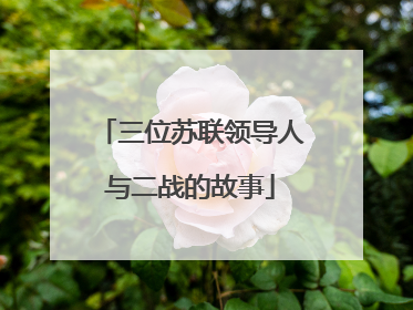 三位苏联领导人与二战的故事