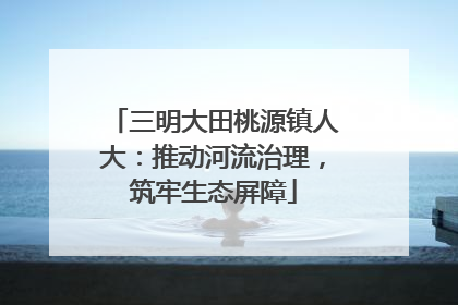 三明大田桃源镇人大：推动河流治理，筑牢生态屏障