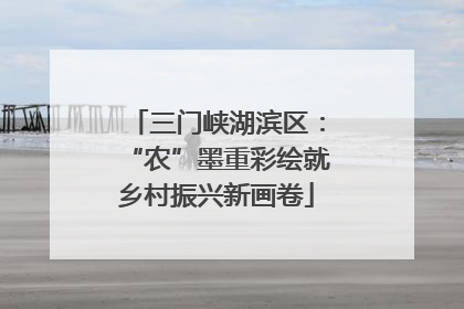 三门峡湖滨区：“农”墨重彩绘就乡村振兴新画卷