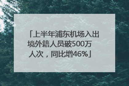 上半年浦东机场入出境外籍人员破500万人次，同比增46%