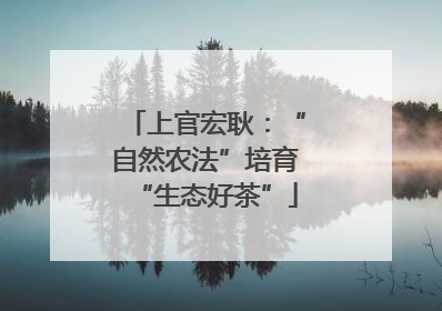 上官宏耿：“自然农法”培育“生态好茶”